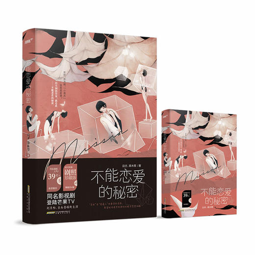 不能恋爱的秘密 商品图4