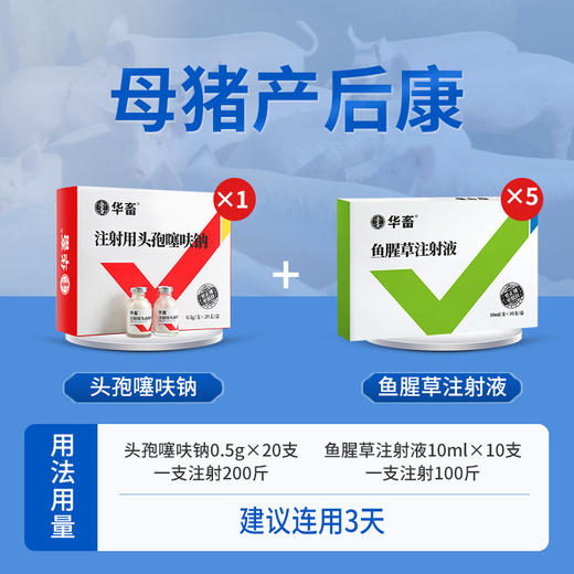 【产后康】整套立省28元 头孢*1+鱼腥草*5 产后消炎产后保健猪牛羊用 商品图0