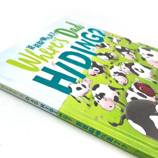 (仓发) 中英双语系列 爸爸躲哪儿去了？ 海豚绘本花园硬壳精装[点读非点读混发]/长江少年儿童出版社/[澳大利亚]艾德·艾伦/9787556084708 商品图2