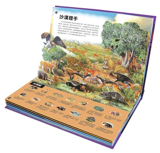 (仓发) 野生动物3d立体翻翻书(3-6-8-10岁以上青少年科普百科全书科学动物早教绘本图鉴小学生课外读物)/长江少年儿童出版社/[英]芭芭拉·泰勒/9787556040421 商品图3