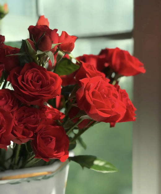 【市场多头】霓虹泡泡 红色 10支/扎 约50公分 商品图1