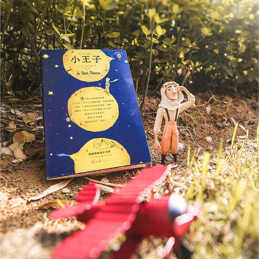 (仓发) 小王子三部曲（一直以来，我们只读了《小王子》的三分之一！纪念小王子诞生75周年完整珍藏版！全新译本、全新彩色插图完整重现《小王子》原貌！）（读/9787549624539 商品图6