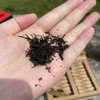 南江大叶茶明代贡茶千年古树红茶绿茶有机欧盟标准礼盒装 商品缩略图8