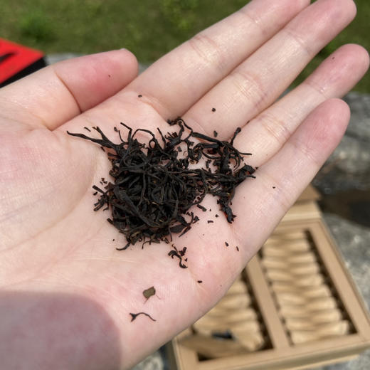 南江大叶茶明代贡茶千年古树红茶绿茶有机欧盟标准礼盒装 商品图8