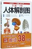全新3D人体解剖图 商品缩略图0