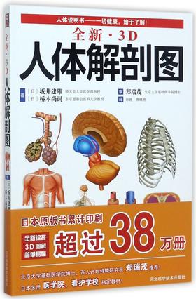 全新3D人体解剖图