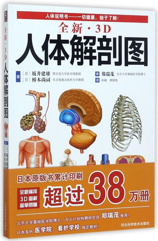 全新3D人体解剖图 商品图0