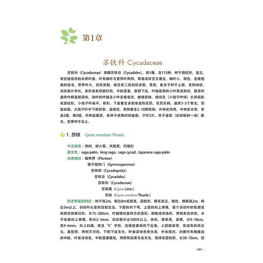 三衢山喀斯特地貌引种植物/徐正浩/陈中平/陈新建/季卫东/余黎红等/浙江大学出版社 商品图2