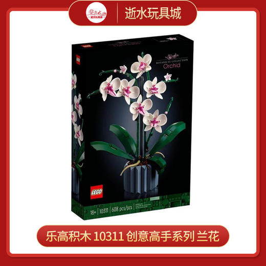 乐高积木   L10311   创意高手系列  兰花 商品图0