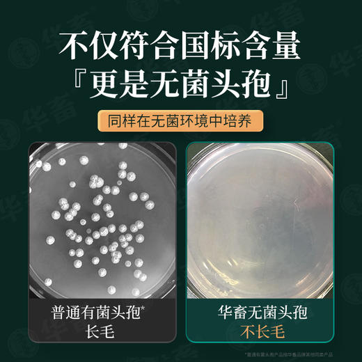 【产后康】整套立省28元 头孢*1+鱼腥草*5 产后消炎产后保健猪牛羊用 商品图3