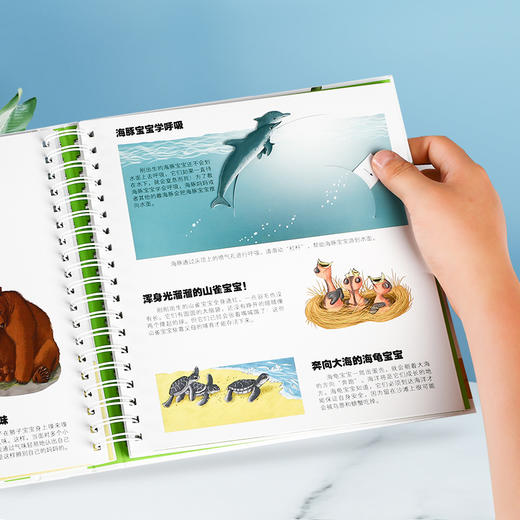乐乐趣 科普立体书 好玩的交通工具+好玩的动物宝宝 商品图4