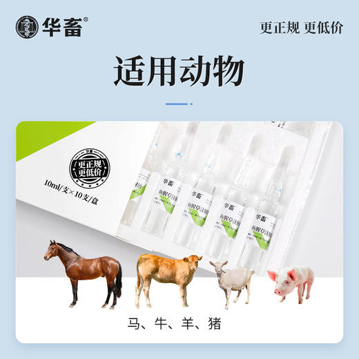 【产后康】整套立省28元 头孢*1+鱼腥草*5 产后消炎产后保健猪牛羊用 商品图6