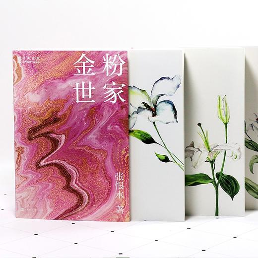 (仓发) 金粉世家(套装全三册上中下）/北京时代华文书局/张恨水/9787569935431 商品图6