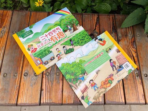 (仓发) 二十四节气就是这么有趣（精）/中华书局/严美鹏/9787101152883 商品图3