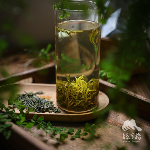 生态茶·雨前龙井  | 合作生产* Longjing Tea of Early spring | Coproduction 商品图3