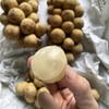 泰国龙宫果   果皮表面有黑色斑点 介意慎拍 商品缩略图6