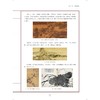 中华人文素养教程/国画（花鸟卷）/书法（楷书卷）/围棋（级位卷）/古筝/国学/生活美学/浙江大学出版社 商品缩略图3