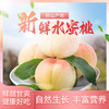 无锡阳山水蜜桃 8个装 大果单颗超5两 商品缩略图5