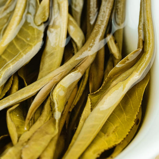 【新班章】21年普洱生茶云南勐海500年古树纯料357g茶饼 商品图2