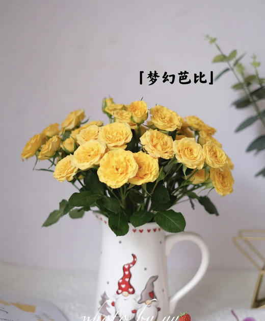 【市场多头】梦幻芭比  10支/扎 BC级 商品图4