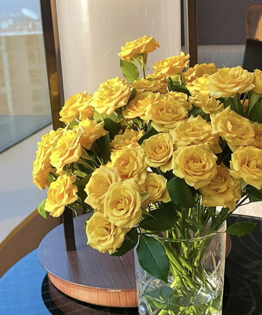 【市场多头】梦幻芭比  10支/扎 BC级 商品图0