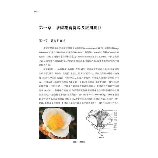 茶树花/屠幼英/杨子银/夏琛/浙江大学出版社/专著 商品图4