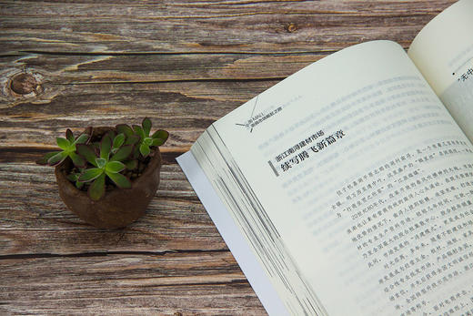 (仓发) 中国MALL：浙商市场崛起之路/中国市场出版社/9787509217740 商品图6