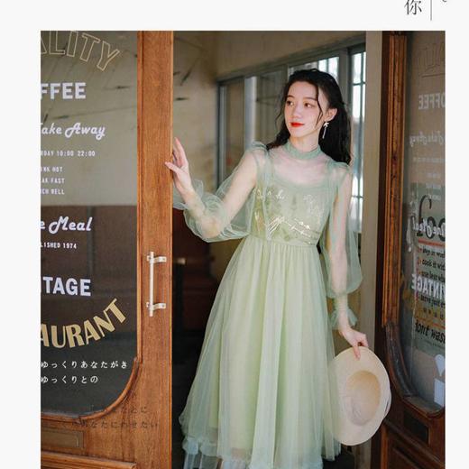 夏季文艺复古小清新绿色连衣裙，刺绣网纱长裙气质收腰显瘦设计感仙女裙LL-337161816559 商品图1