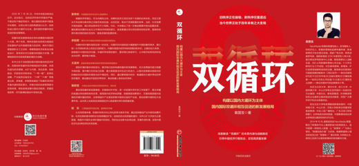 双循环(构建以国内大循环为主体国内国际双循环相互促进的新发展格局) 商品图2