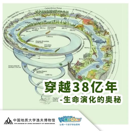 【武汉】穿越38亿年-生命演化的奥秘 商品图0
