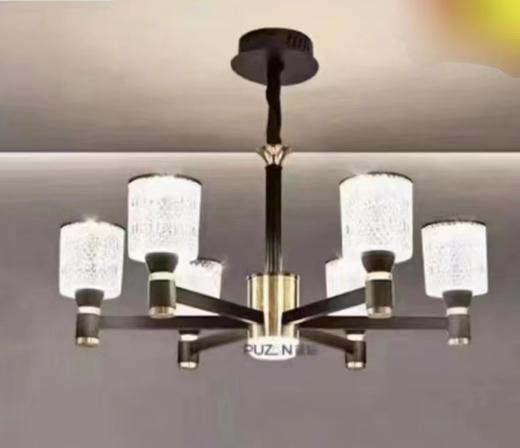 普钻 S2101/6头 (S2225)吊灯 商品图0
