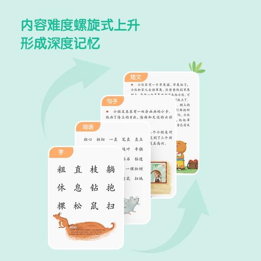 (仓发) 学而思 摩比爱识字 摩比爱数学家族产品 幼儿识字 幼小衔接学前识字启蒙  从零识字实现自主阅读（7册）1000个高频字 1048个词语 95个/9787510680007 商品图2