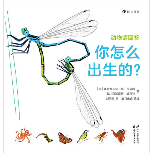 动物请回答(你怎么出生的)(精) 商品图1