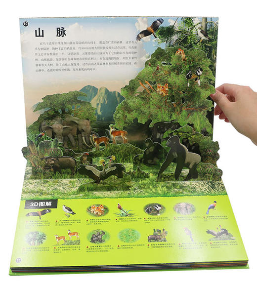 (仓发) 野生动物3d立体翻翻书(3-6-8-10岁以上青少年科普百科全书科学动物早教绘本图鉴小学生课外读物)/长江少年儿童出版社/[英]芭芭拉·泰勒/9787556040421 商品图4