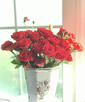 【市场多头】霓虹泡泡 红色 10支/扎 约50公分