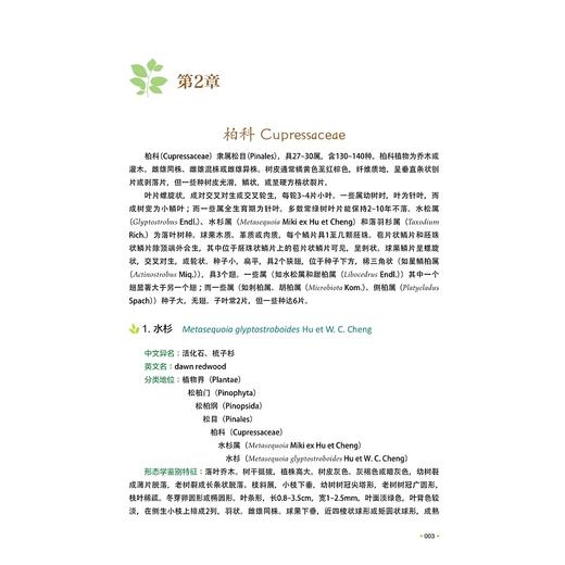 三衢山喀斯特地貌引种植物/徐正浩/陈中平/陈新建/季卫东/余黎红等/浙江大学出版社 商品图4