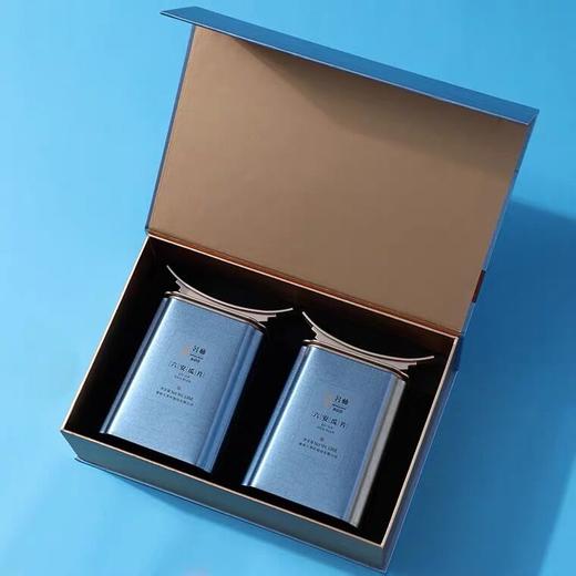 2022新茶谢裕大六安瓜片礼茶260g荐 商品图1