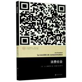 消费社会/消费文化系列/当代学术棱镜译丛