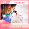 犬猫影像学孕检套餐 商品缩略图0