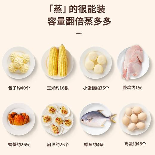 美菱MT-LC2401电蒸锅 商品图2