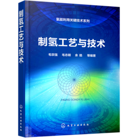 制氢工艺与技术(精)/氢能利用关键技术系列