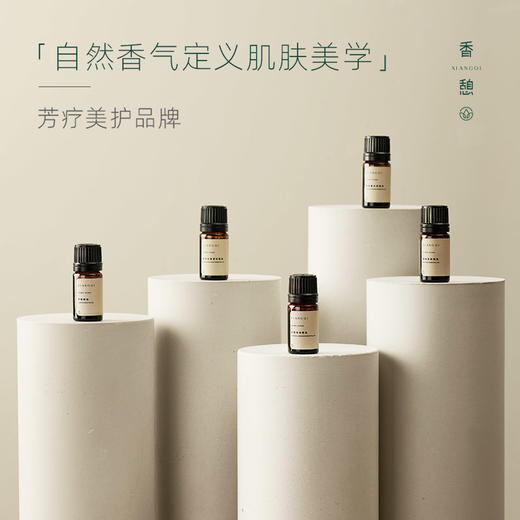 「课程·单方油」XIANGQI香憩︱澳洲茶树精油 5ml/瓶 商品图4