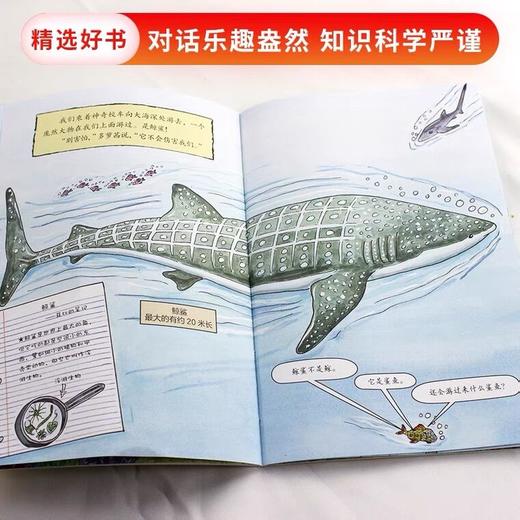 【会员兑换】神奇校车单本鲨鱼奇遇 儿童益智手工图画版绘本阅读 幼儿园2-3-4-5-6岁宝宝 小班 中班 大班 故事书亲子阅读启蒙早教读物童书 商品图3