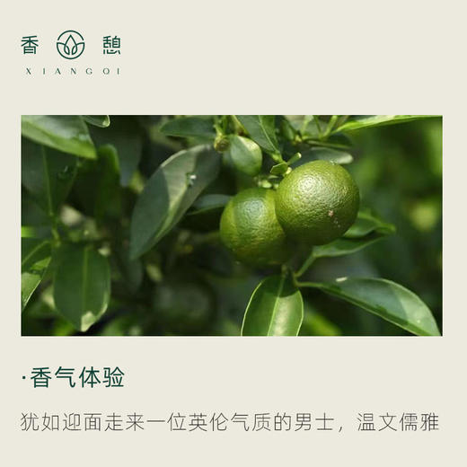 「课程·单方油」XIANGQI香憩︱苦橙叶精油 5ml/瓶 商品图1