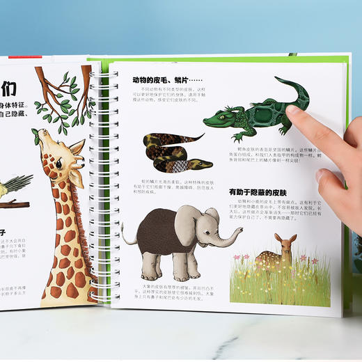 乐乐趣 科普立体书 好玩的交通工具+好玩的动物宝宝 商品图5