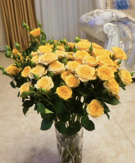 【市场多头】梦幻芭比  10支/扎 BC级 商品图5