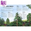 【中商原版】When Plants Took Over the Planet 当植物占领地球时 植物进化的神奇故事 英文原版 科普童书 Chris Thorogood 商品缩略图1