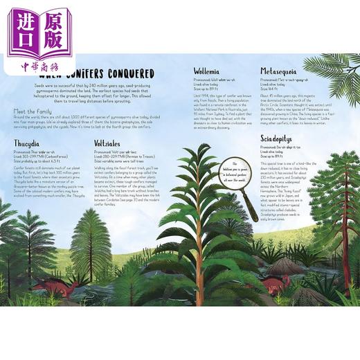 【中商原版】When Plants Took Over the Planet 当植物占领地球时 植物进化的神奇故事 英文原版 科普童书 Chris Thorogood 商品图1