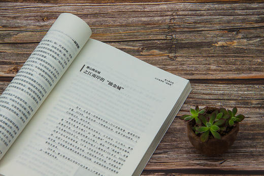 (仓发) 中国MALL：浙商市场崛起之路/中国市场出版社/9787509217740 商品图7