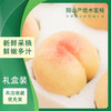 无锡阳山水蜜桃 8个装 大果单颗超5两 商品缩略图8
